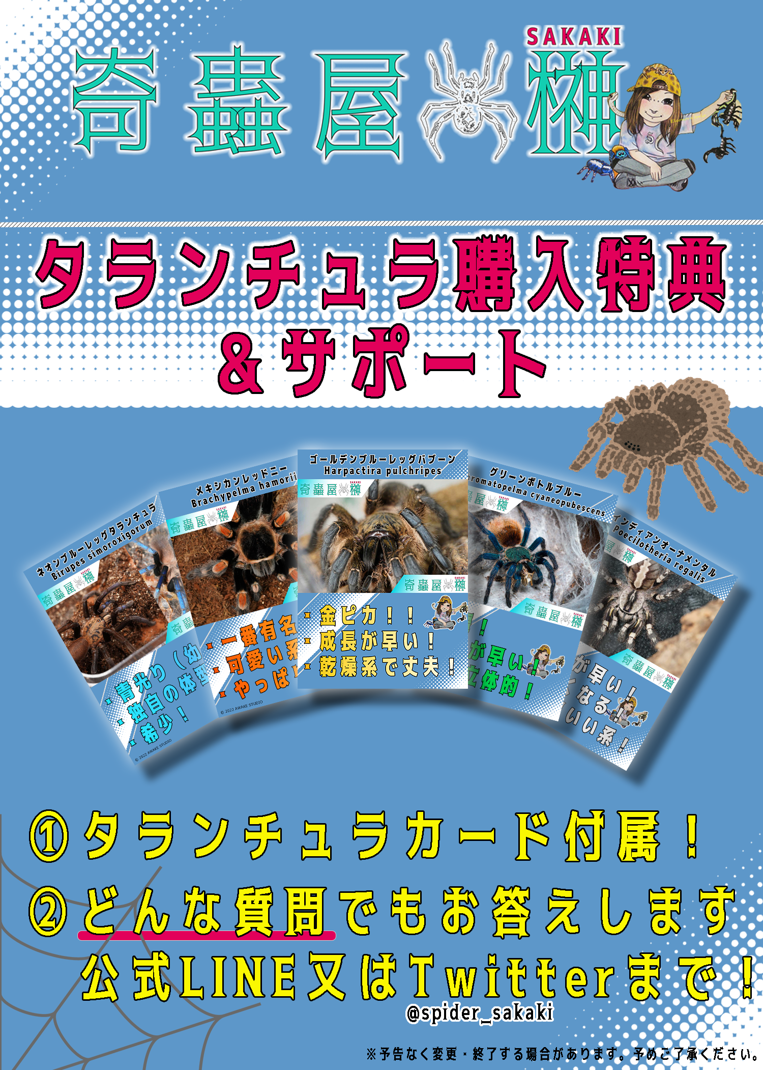 注文について | 奇蟲屋 榊（タランチュラ通販店）